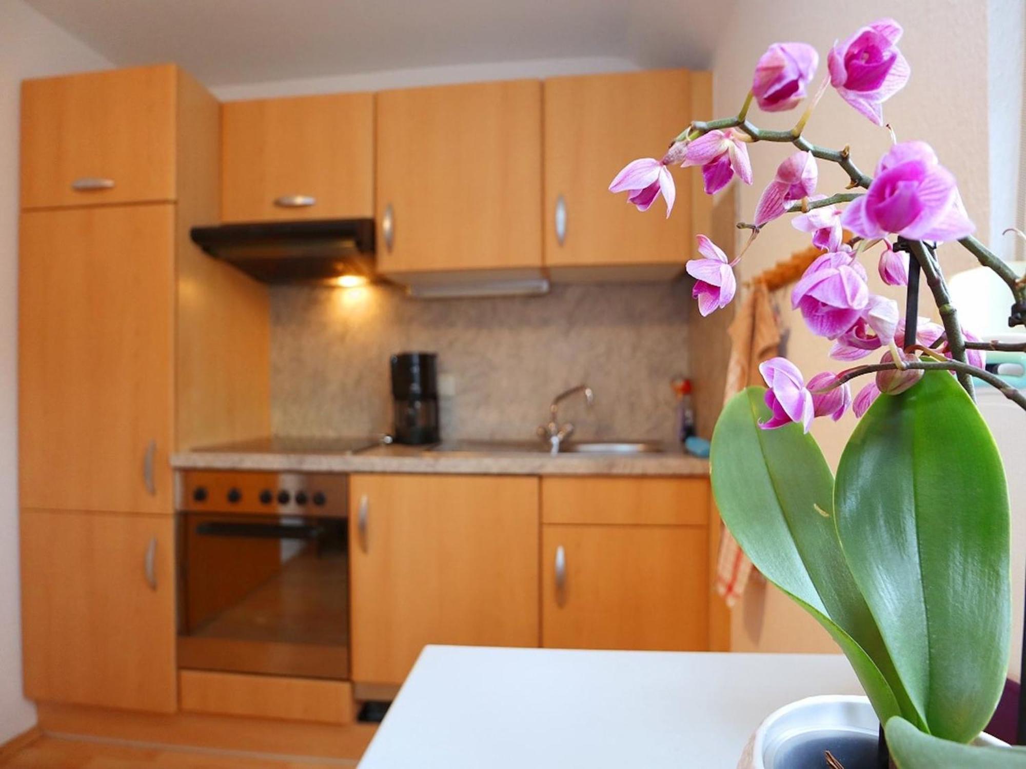 Cozy Apartment In Schwenningen With Garden Villingen-Schwenningen Zewnętrze zdjęcie