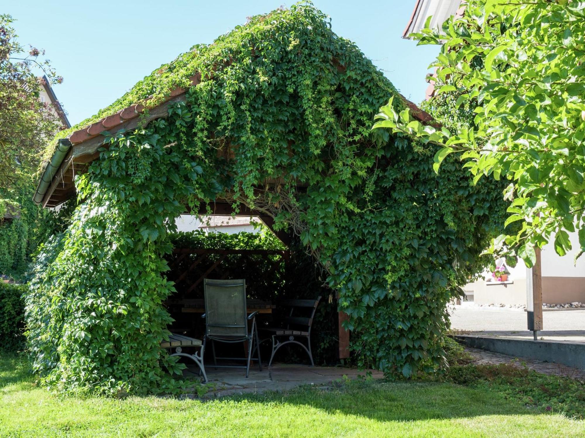 Cozy Apartment In Schwenningen With Garden Villingen-Schwenningen Zewnętrze zdjęcie